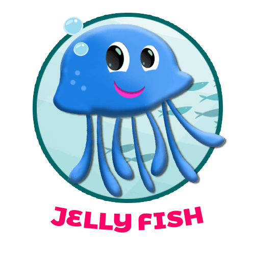 Jelly Fish